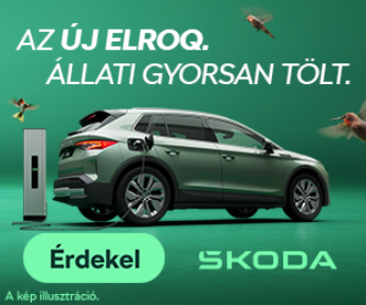 SKODA_Elroq_banner_programmatic_v3_300x250